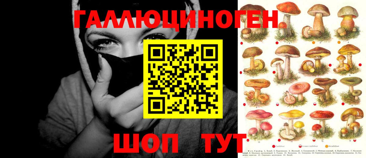 Псилоцибиновые грибы ЛСД  Вход с VPN  хочу   Королёв 